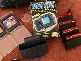 Lote Sega Game Gear con accesorios