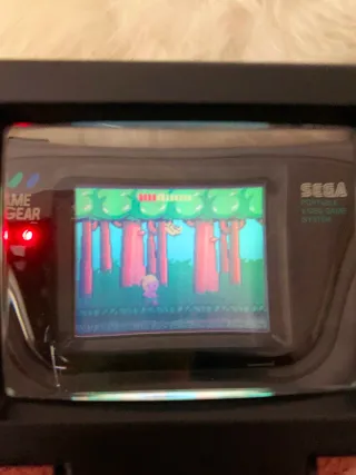 Lote Sega Game Gear con accesorios