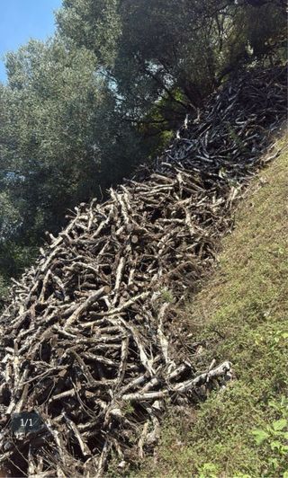 Leña para chimenea o barbacoa 15/20mil kg