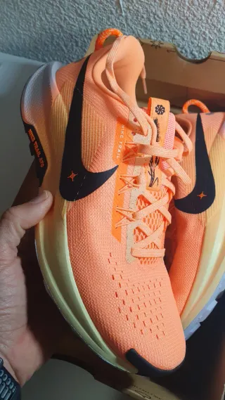 Zapatillas Nike Pegasus Trail 5