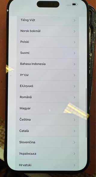 Pantalla iPhone 14 Pro Max con punto