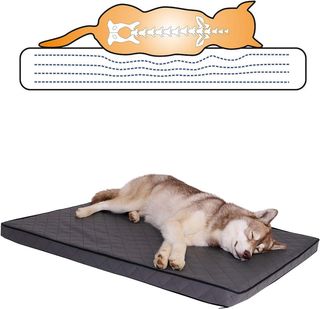 lionto Colchoneta ortopédica para Perros con visco