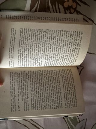 Il catino di zinco (Romanzi e racconti) (Italia...