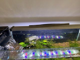 Acuario con mueble y accesorios