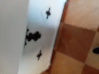 Arca vintage blanca de madera