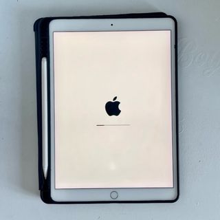 iPad Air 3ª Gen Argento