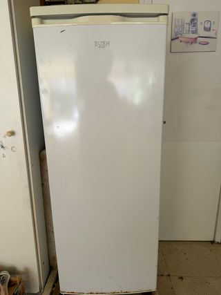 Frigorífico Bush 240L BTL55143W
