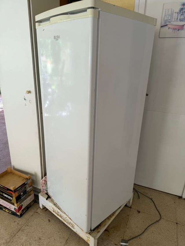 Frigorífico Bush 240L BTL55143W