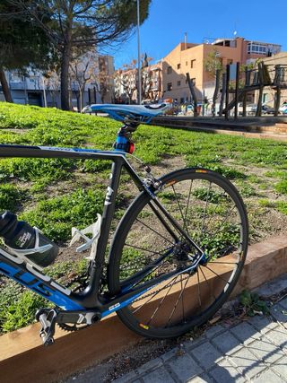 Bicicleta de carretera Focus Cayo talla L