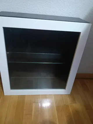 Mueble expositor con puerta de cristal