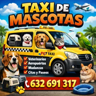 Taxi de mascotas -Transporte Seguro y de confianza