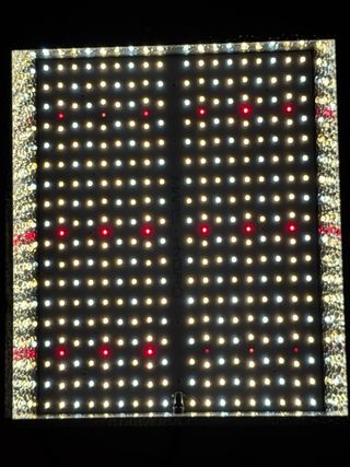 Kit Cultivo Indoor Mars Hydro TS1000