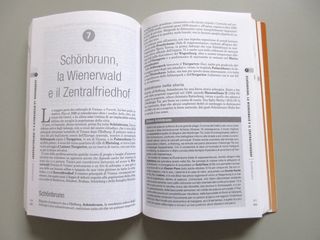 Libro VIENNA. 2006. The Rough guide. A. Vallardi