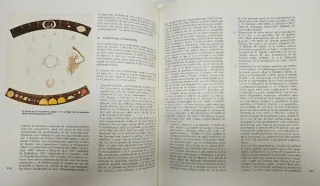 Historia de la Medicina. P. Lain Entralgo. Salvat.