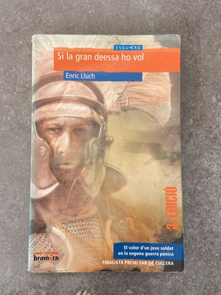 Si la gran deessa ho vol