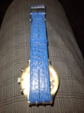 Swatch Chrono SCK100 Wild Card