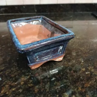 Macetero Bonsái Cerámica Azul