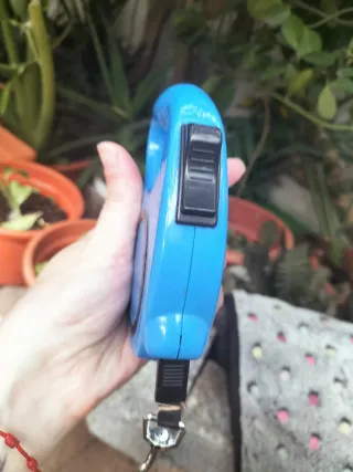 Correa retráctil y manta para mascotas