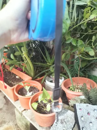 Correa retráctil y manta para mascotas