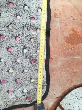 Correa retráctil y manta para mascotas