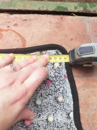 Correa retráctil y manta para mascotas