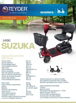 Moto Scooter Teyder Minusválidos