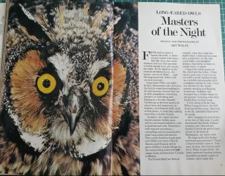 Revistas National Geographic Vol. 157