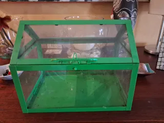 Dos Mini invernaderos cristal y metal