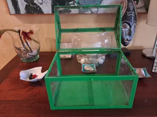 Dos Mini invernaderos cristal y metal