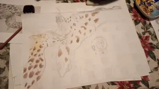 Cuadros personalizados de animales y Disney