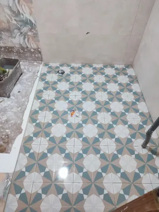 Albañil profesional