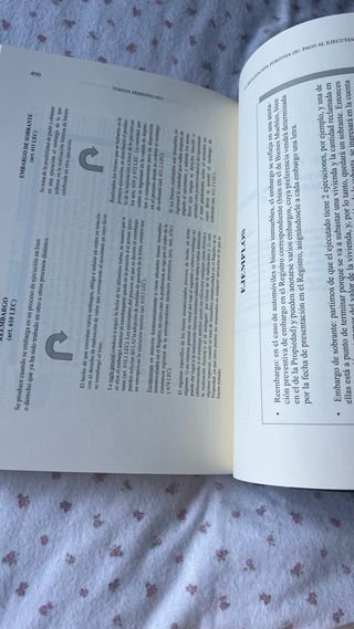 Lecciones de Derecho procesal civil. 13ª ed.: P...