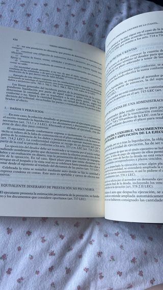 Lecciones de Derecho procesal civil. 13ª ed.: P...
