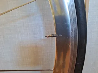 Campagnolo SHAMAL TITANIUM