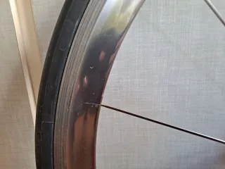 Campagnolo SHAMAL TITANIUM