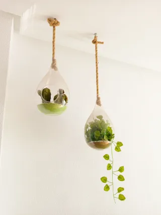 Maceteros Colgantes Decorativos.