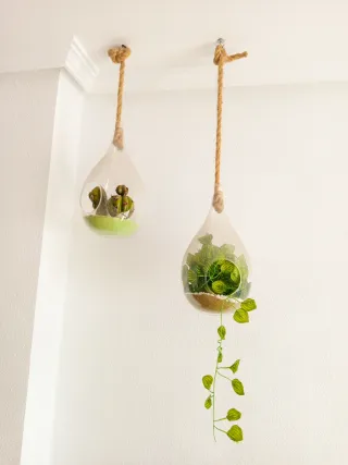 Maceteros Colgantes Decorativos.