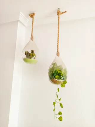 Maceteros Colgantes Decorativos.