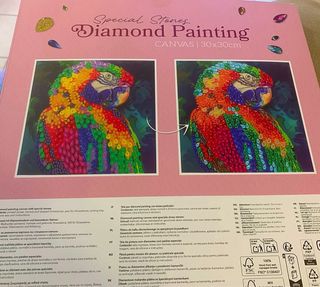 Quadro Decorativo Pappagallo Multicolore