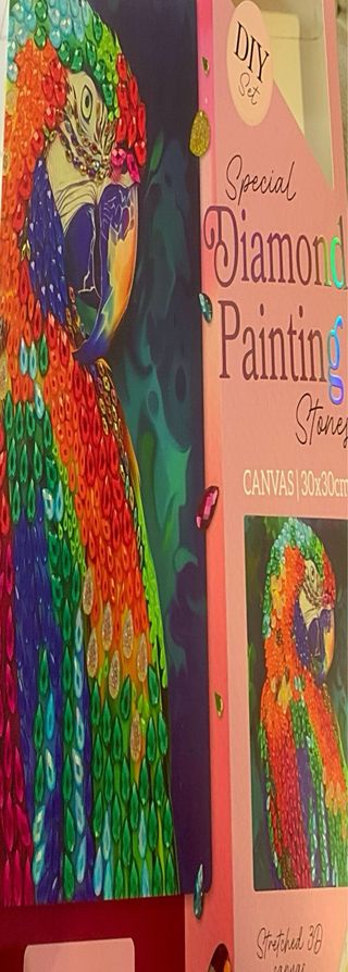 Quadro Decorativo Pappagallo Multicolore