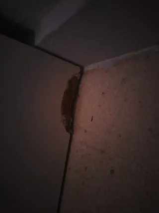 URGE VENDER APARADOR LEER BIEN