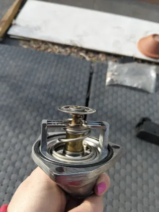 Termostato Refrigeración Motor