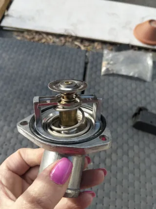 Termostato Refrigeración Motor