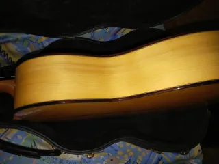Guitarra Flamenca Alhambra 10 fc