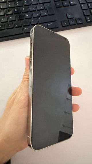 iPhone 13 Pro Max Plata