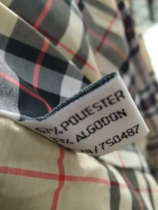 Gabardina hombre verde