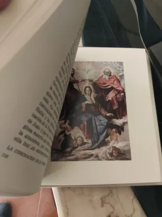 Libro Velázquez Otto Coleccionismo