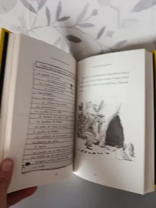 La Cosa más rara del Mundo-Libro David Walliams