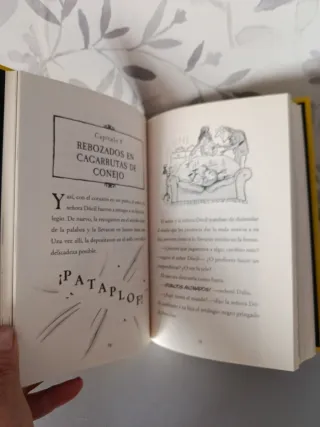 La Cosa más rara del Mundo-Libro David Walliams