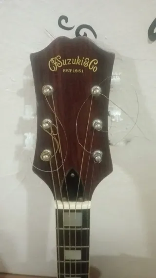 Guitarra Acústica Suzuki & Co 1951